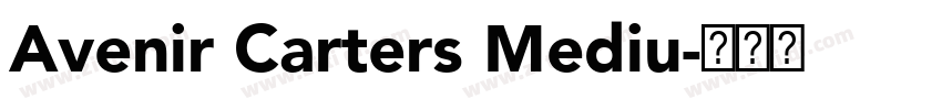 Avenir Carters Mediu字体转换